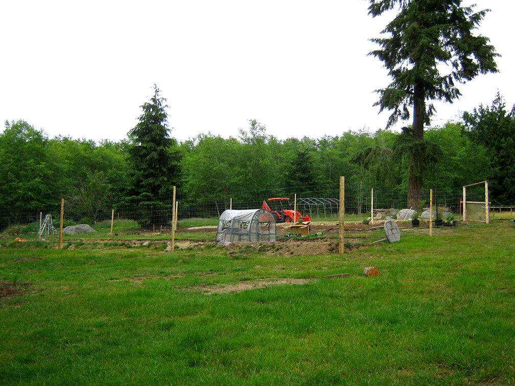 permaculture garden