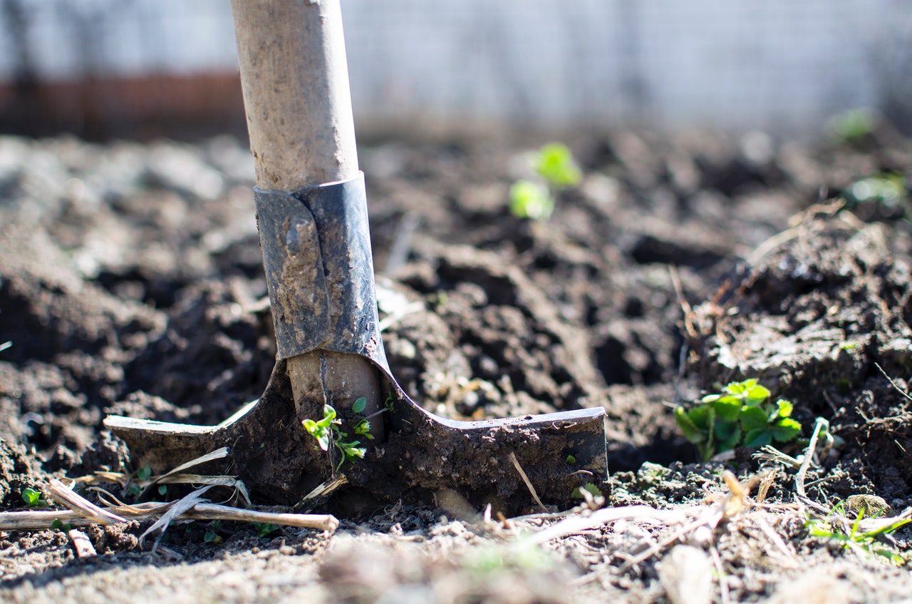 permaculture garden soil
