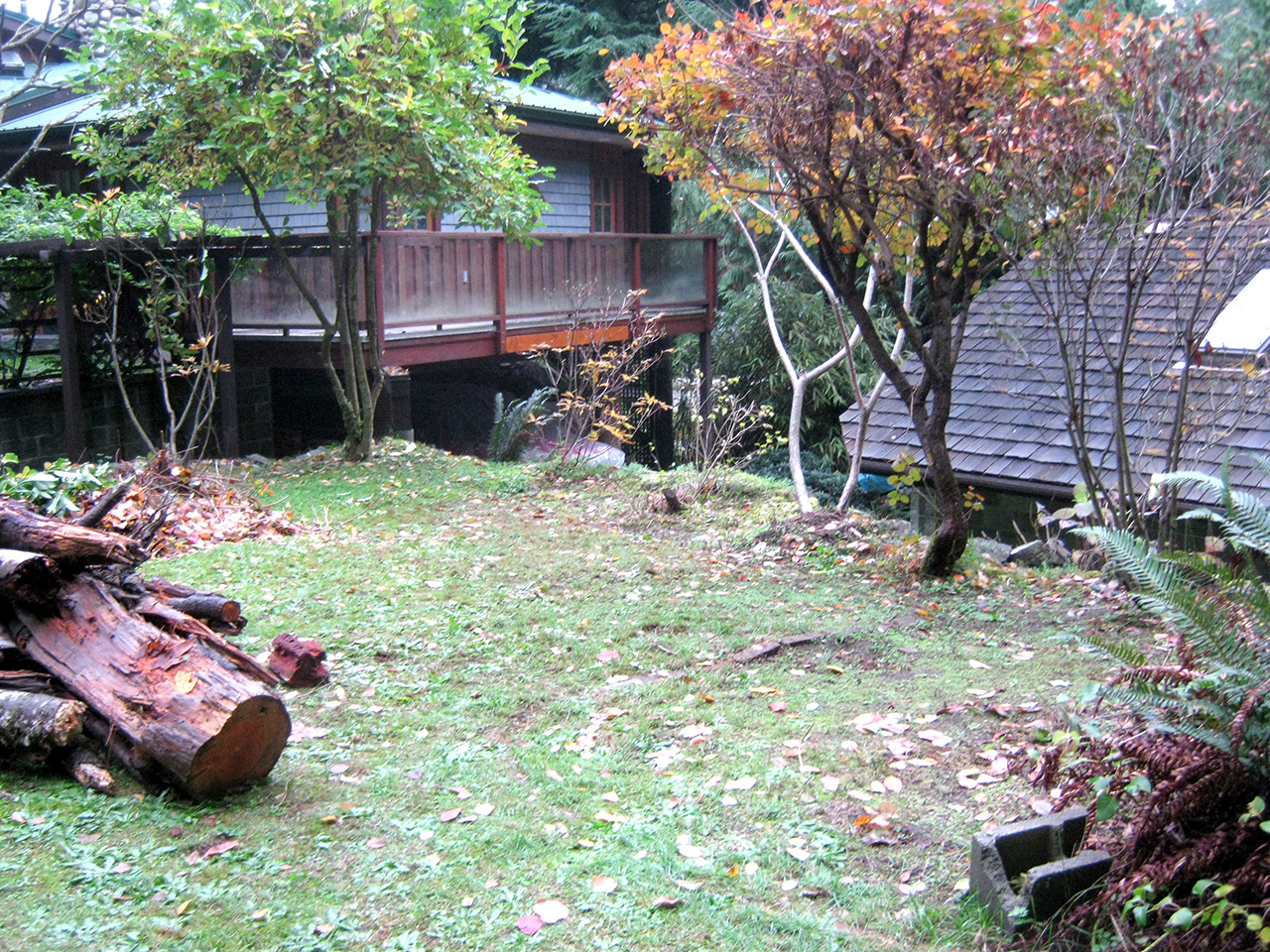permaculture garden plan